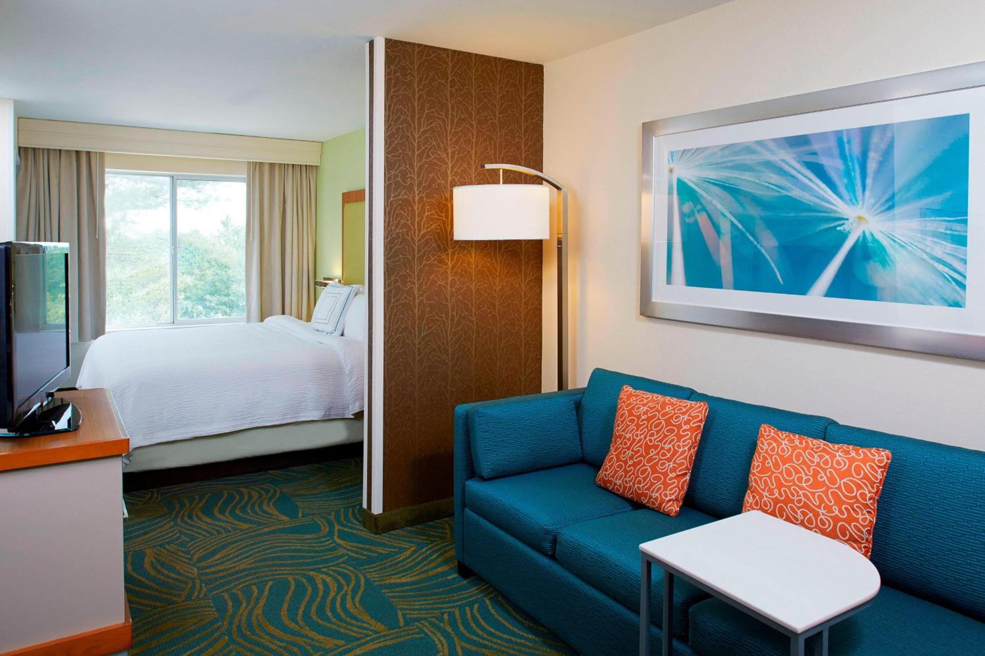 Springhill Suites By Marriott Atlanta Six Flags Lithia Springs Eksteriør bilde