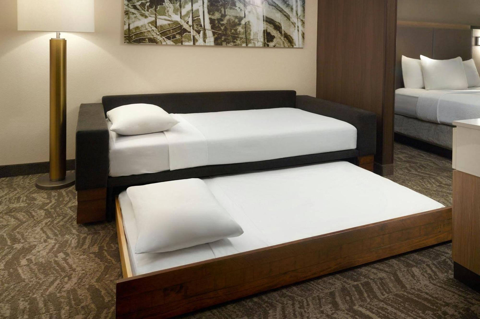 Springhill Suites By Marriott Atlanta Six Flags Lithia Springs Eksteriør bilde